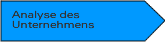 Analyse des Unternehmens